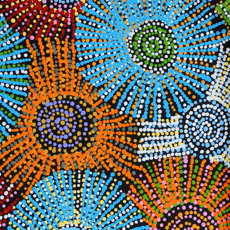 Aboriginal Artwork by Evelyn Nangala Robertson, Ngapa Jukurrpa - Puyurru, 61x46cm
