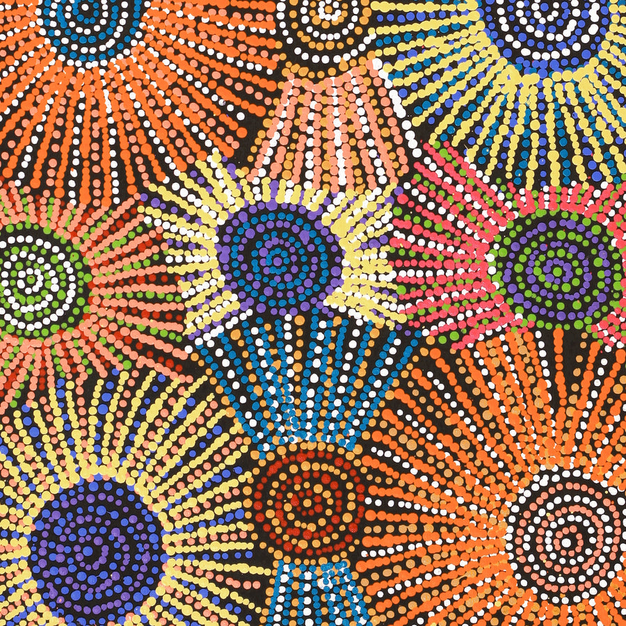 Aboriginal Artwork by Evelyn Nangala Robertson, Ngapa Jukurrpa - Puyurru, 91x46cm