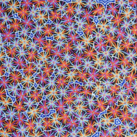 Aboriginal Artwork by Evelyn Nangala Robertson, Ngapa Jukurrpa - Pirlinyarnu, 61x61cm