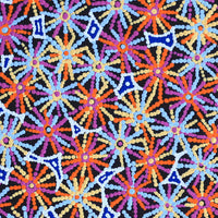 Aboriginal Artwork by Evelyn Nangala Robertson, Ngapa Jukurrpa - Pirlinyarnu, 61x61cm