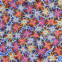 Aboriginal Artwork by Evelyn Nangala Robertson, Ngapa Jukurrpa - Pirlinyarnu, 61x61cm