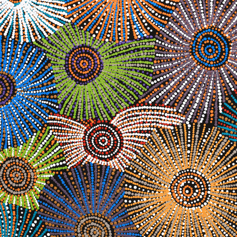 Aboriginal Artwork by Evelyn Nangala Robertson, Ngapa Jukurrpa - Puyurru, 91x76cm