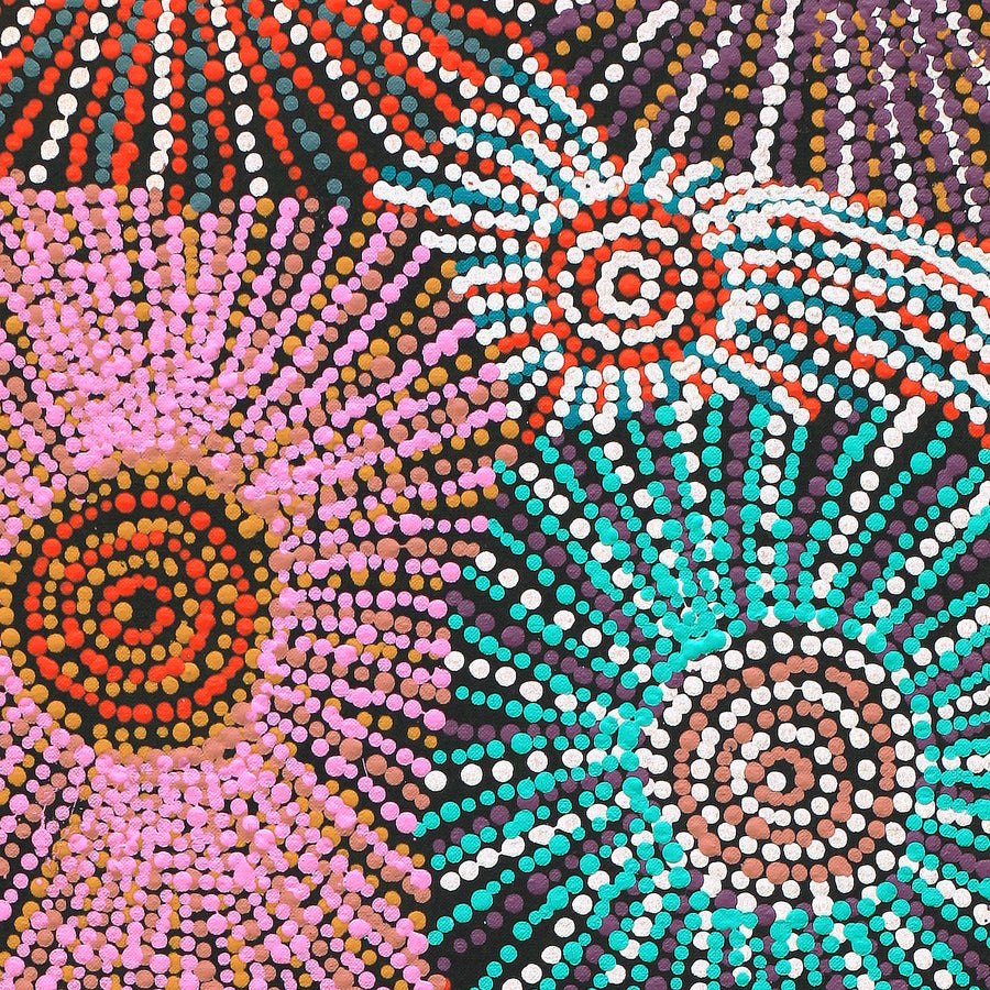 Aboriginal Artwork by Evelyn Nangala Robertson, Ngapa Jukurrpa - Puyurru, 91x30cm