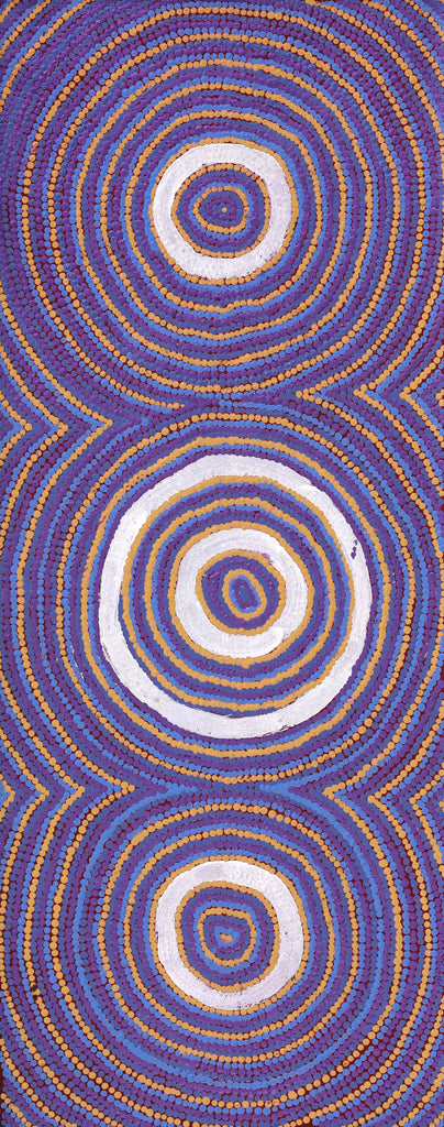 Aboriginal Artwork by Ezekiel Jakamarra James, Warna Jukurrpa (Snake Dreaming), 76x30cm