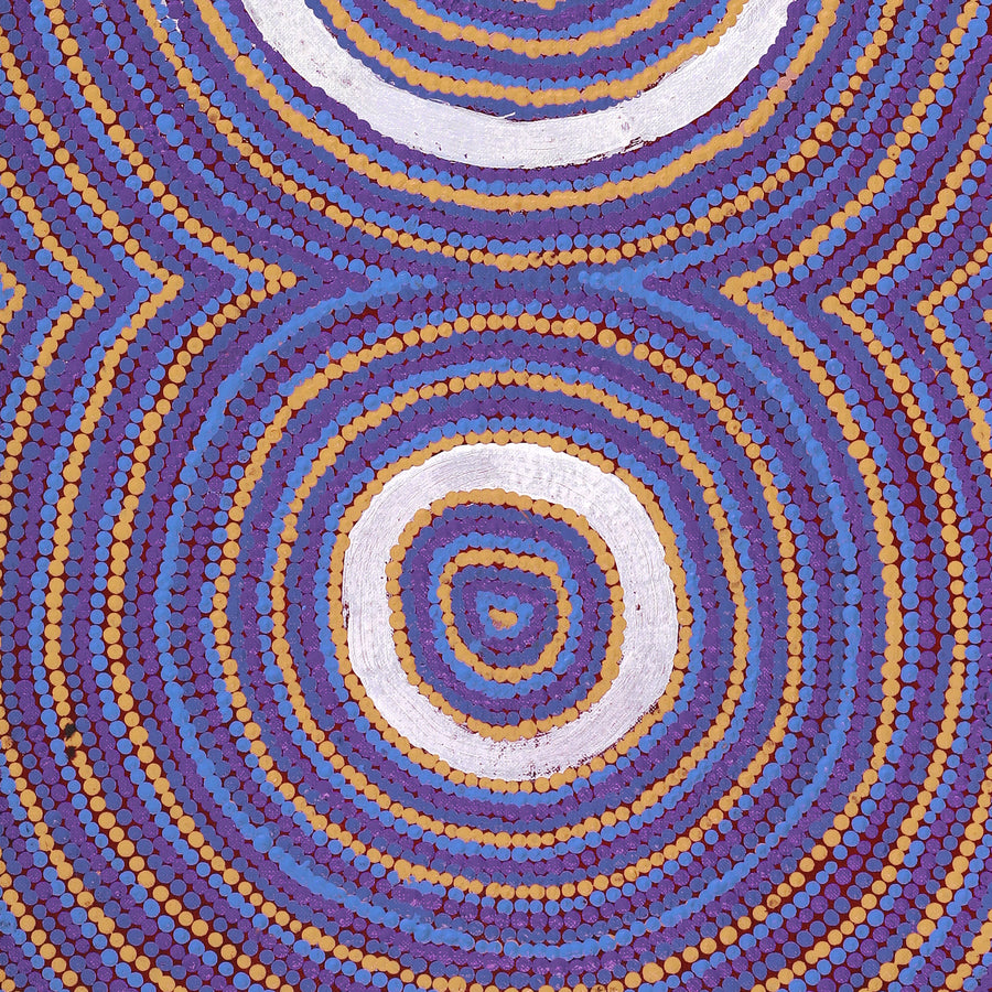 Aboriginal Artwork by Ezekiel Jakamarra James, Warna Jukurrpa (Snake Dreaming), 76x30cm