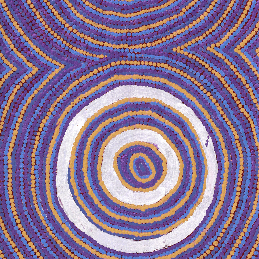 Aboriginal Artwork by Ezekiel Jakamarra James, Warna Jukurrpa (Snake Dreaming), 76x30cm