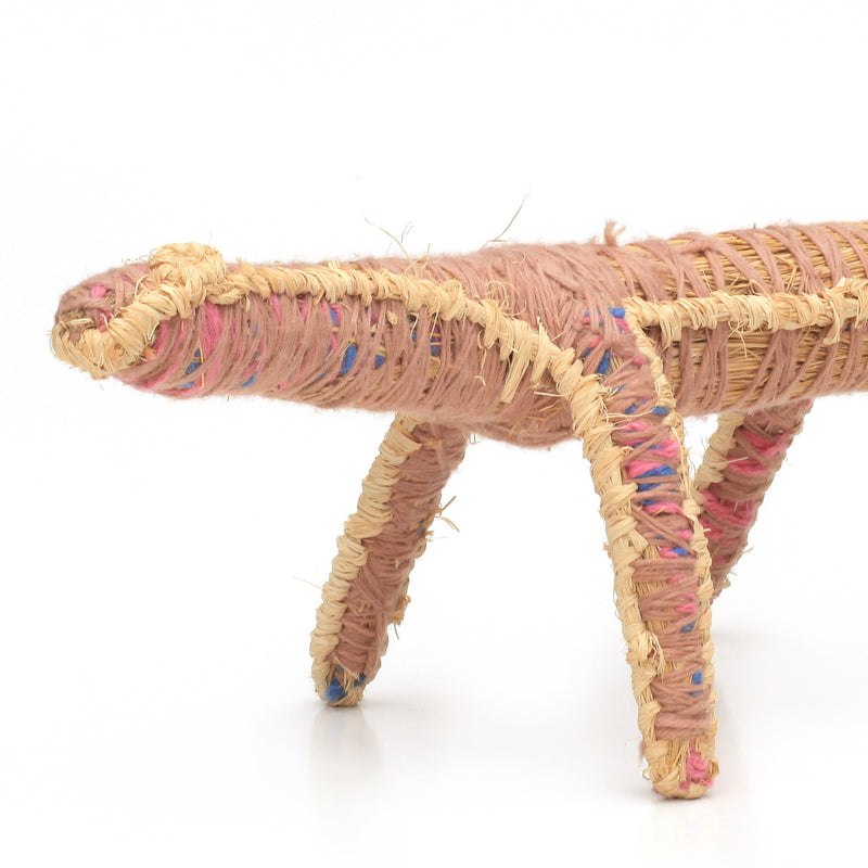 Aboriginal Artwork by Faith Butler - Goanna Tjanpi Sculpture