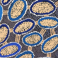 Aboriginal Artwork by Faye Nangala Hudson, Warlukurlangu Jukurrpa (Fire country Dreaming), 183x107cm