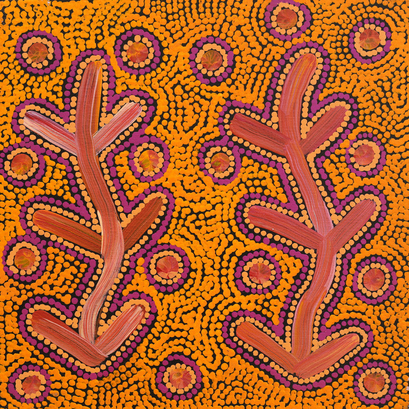 Aboriginal Artwork by Faye Nangala Hudson, Warlukurlangu Jukurrpa (Fire country Dreaming), 30x30cm