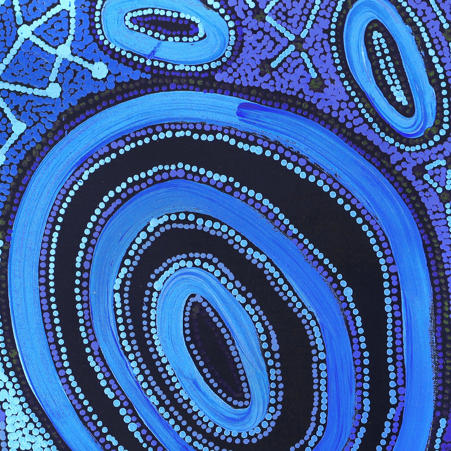Aboriginal Artwork by Faye Nangala Hudson, Pikilyi Jukurrpa (Vaughan Springs Dreaming), 46x46cm