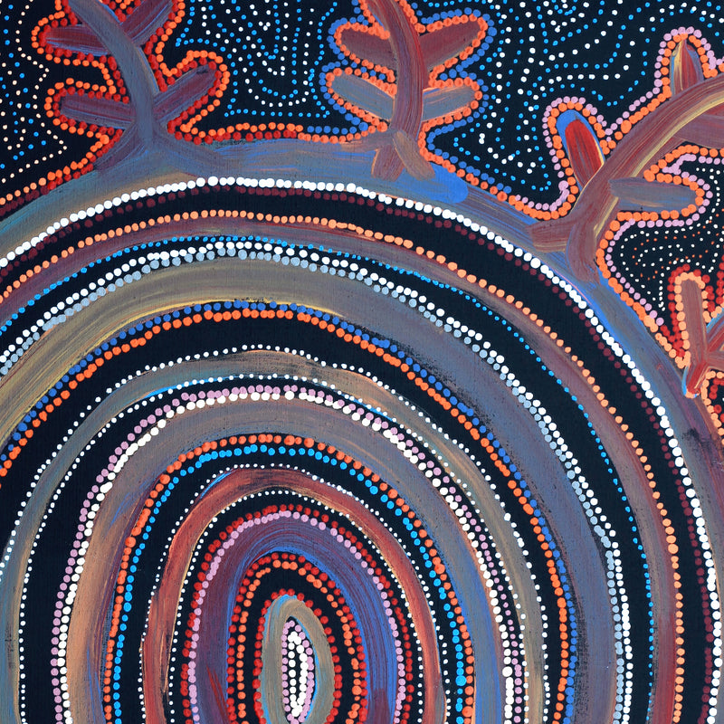 Aboriginal Artwork by Faye Nangala Hudson, Pikilyi Jukurrpa (Vaughan Springs Dreaming), 76x61cm