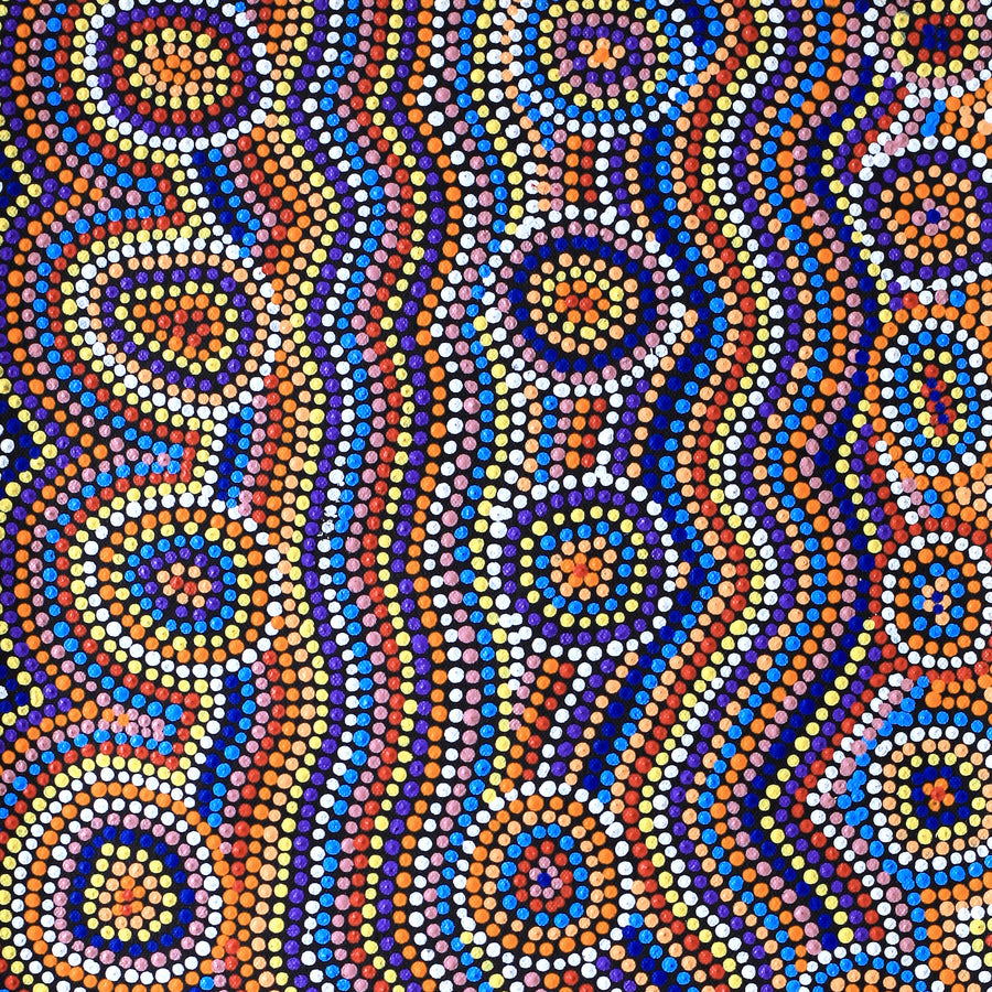 Aboriginal Artwork by Felicity Napangardi Gill, Lappi Lappi Dreaming, 61x30cm
