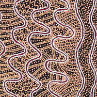 Aboriginal Artwork by Felicity Nampijinpa Robertson, Ngapa Jukurrpa (Water Dreaming) - Puyurru, 107x61cm