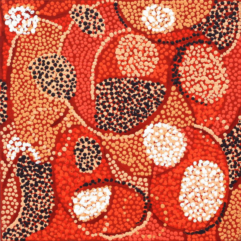 Aboriginal Artwork by Felicity Nampijinpa Robertson, Ngapa Jukurrpa (Water Dreaming) - Puyurru, 30x30cm