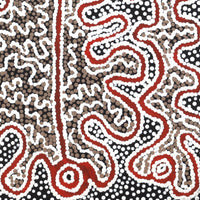 Aboriginal Artwork by Felicity Nampijinpa Robertson, Ngapa Jukurrpa (Water Dreaming) - Puyurru, 30x30cm