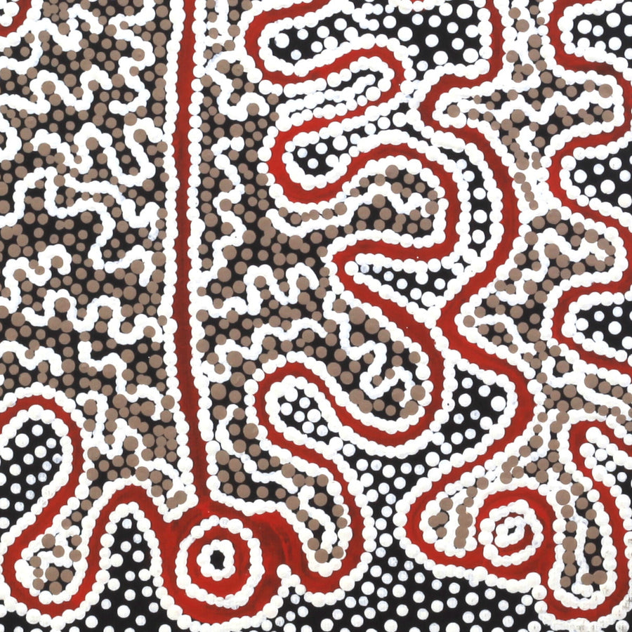 Aboriginal Artwork by Felicity Nampijinpa Robertson, Ngapa Jukurrpa (Water Dreaming) - Puyurru, 30x30cm