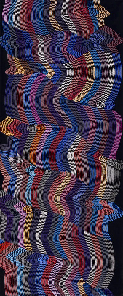 Aboriginal Artwork by Flora Nakamarra Brown, Mina Mina Jukurrpa, 183x76cm