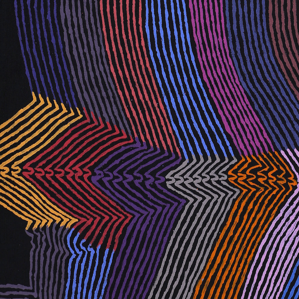 Aboriginal Artwork by Flora Nakamarra Brown, Mina Mina Jukurrpa, 183x76cm