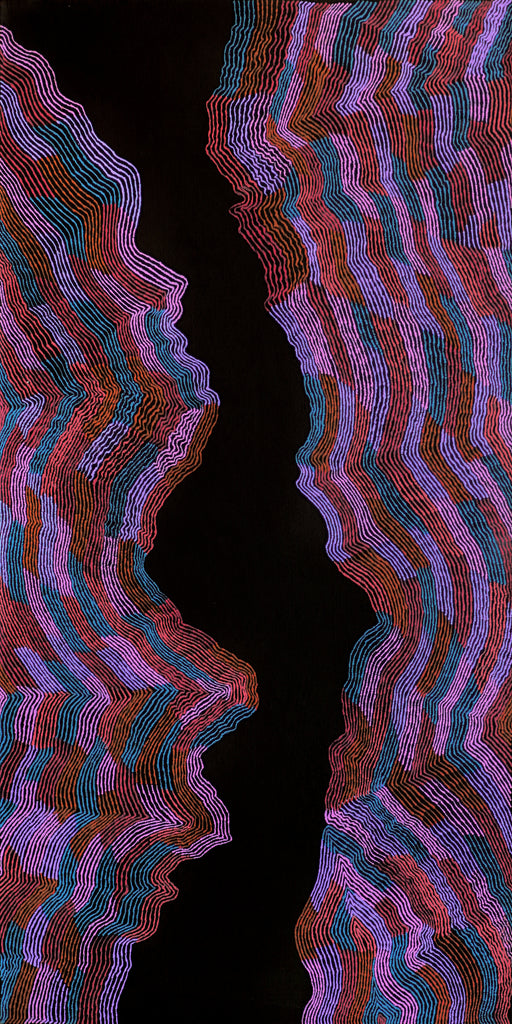 Aboriginal Artwork by Flora Nakamarra Brown, Mina Mina Jukurrpa - Ngalyipi, 122x61cm