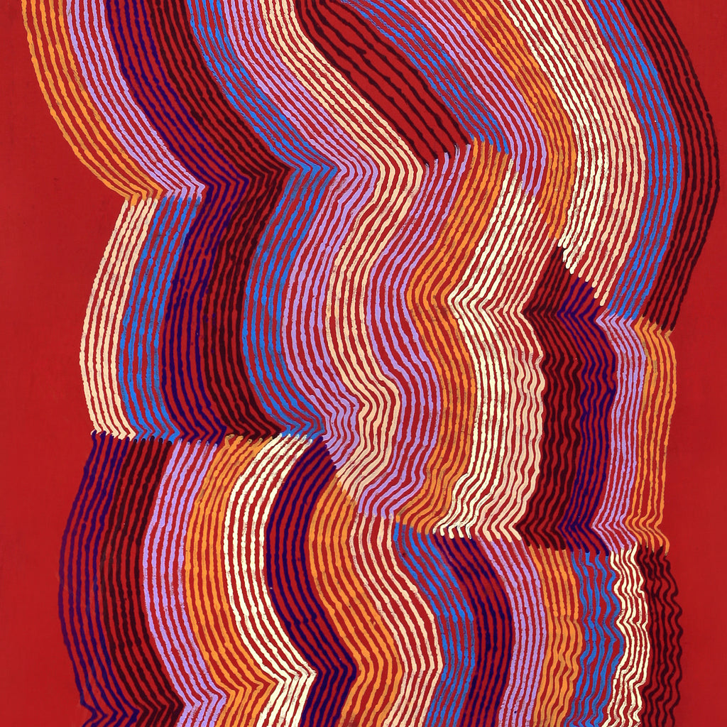 Aboriginal Artwork by Flora Nakamarra Brown, Mina Mina Jukurrpa - Ngalyipi, 122x61cm