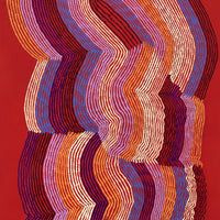 Aboriginal Artwork by Flora Nakamarra Brown, Mina Mina Jukurrpa - Ngalyipi, 122x61cm