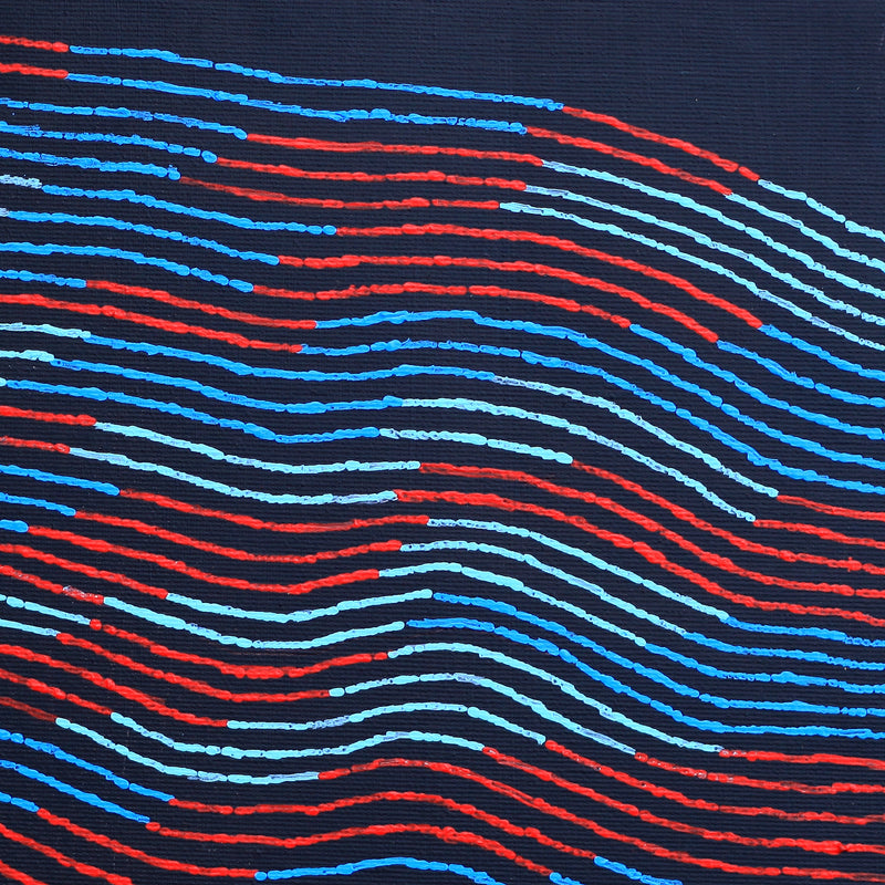 Aboriginal Artwork by Flora Nakamarra Brown, Mina Mina Jukurrpa - Ngalyipi, 30x30cm