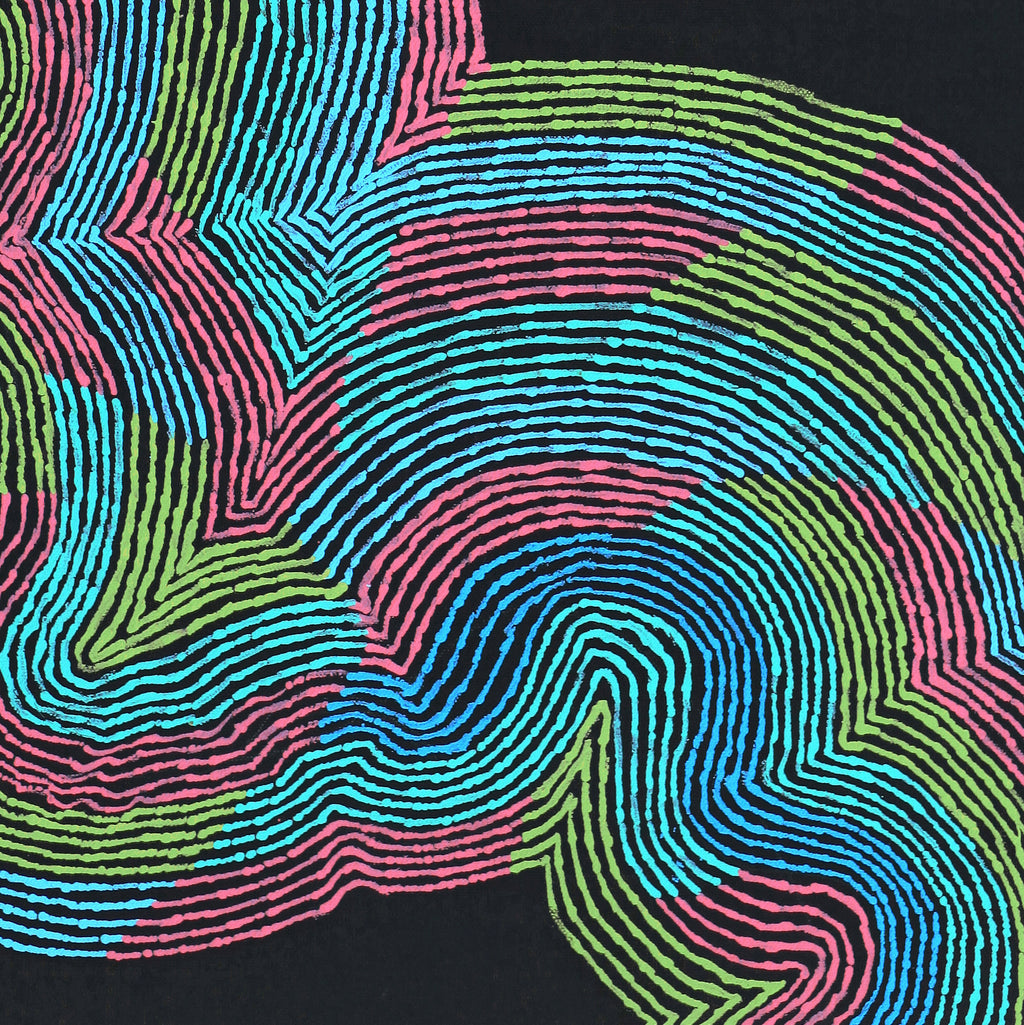 Aboriginal Artwork by Flora Nakamarra Brown, Mina Mina Jukurrpa - Ngalyipi, 61x46cm