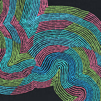 Aboriginal Artwork by Flora Nakamarra Brown, Mina Mina Jukurrpa - Ngalyipi, 61x46cm