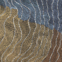 Aboriginal Artwork by Flora Nakamarra Brown, Mina Mina Jukurrpa - Ngalyipi, 91x76cm