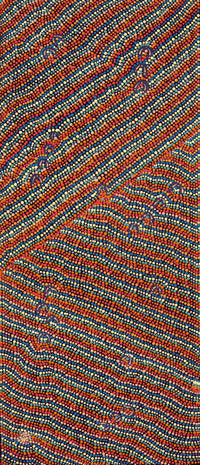 Aboriginal Artwork by Florence Nungarrayi Tex, Lappi Lappi Jukurrpa, 107x46cm