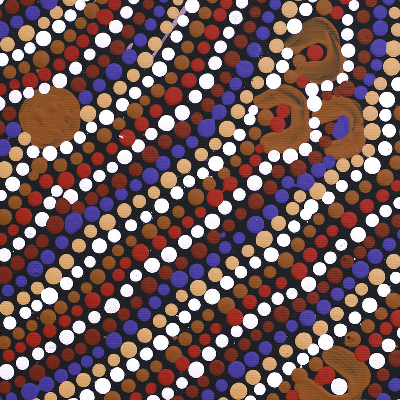 Aboriginal Artwork by Florence Nungarrayi Tex, Lappi Lappi Jukurrpa, 30x30cm