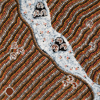 Aboriginal Artwork by Florence Nungarrayi Tex, Lappi Lappi Jukurrpa, 46x46cm