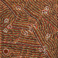 Aboriginal Artwork by Florence Nungarrayi Tex, Lappi Lappi Jukurrpa, 46x46cm