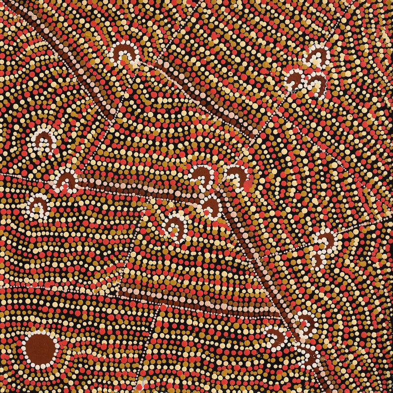 Aboriginal Artwork by Florence Nungarrayi Tex, Lappi Lappi Jukurrpa, 46x46cm