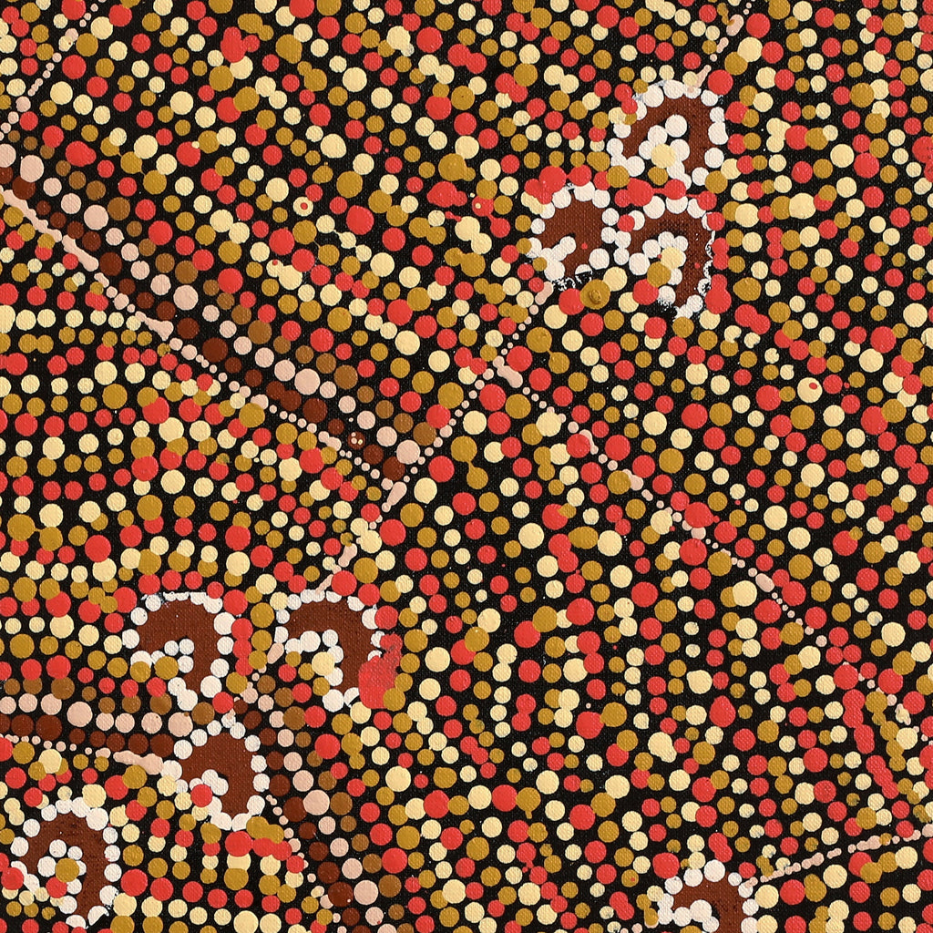 Aboriginal Artwork by Florence Nungarrayi Tex, Lappi Lappi Jukurrpa, 46x46cm