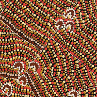 Aboriginal Artwork by Florence Nungarrayi Tex, Lappi Lappi Jukurrpa, 46x46cm