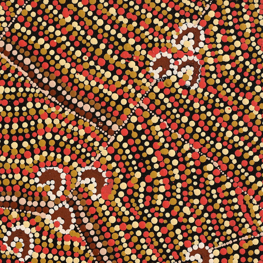 Aboriginal Artwork by Florence Nungarrayi Tex, Lappi Lappi Jukurrpa, 46x46cm
