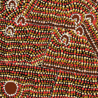 Aboriginal Artwork by Florence Nungarrayi Tex, Lappi Lappi Jukurrpa, 46x46cm