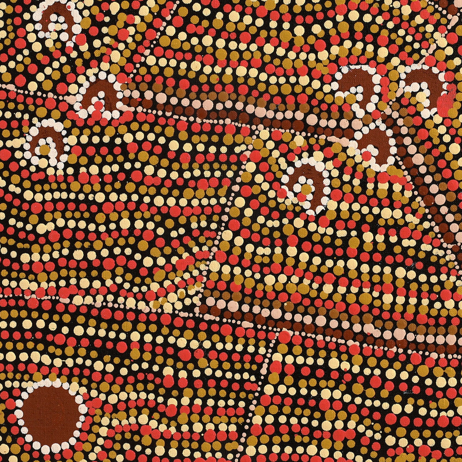 Aboriginal Artwork by Florence Nungarrayi Tex, Lappi Lappi Jukurrpa, 46x46cm