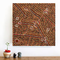 Aboriginal Artwork by Florence Nungarrayi Tex, Lappi Lappi Jukurrpa, 46x46cm