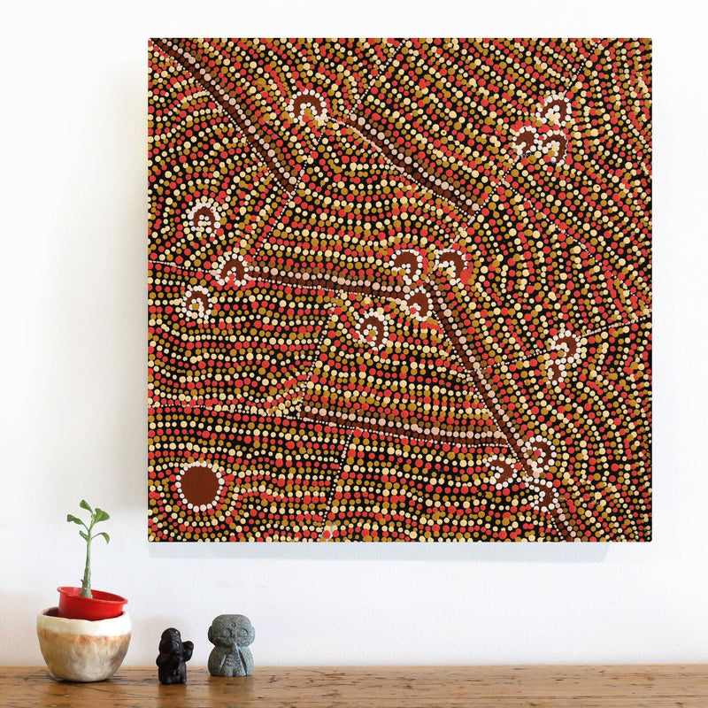 Aboriginal Artwork by Florence Nungarrayi Tex, Lappi Lappi Jukurrpa, 46x46cm