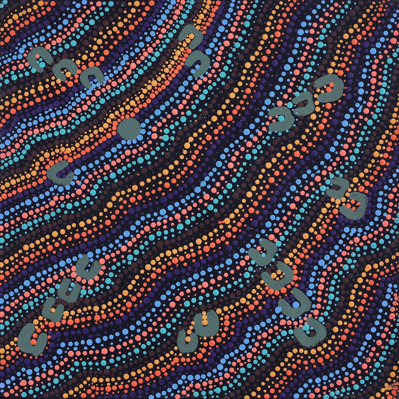 Aboriginal Artwork by Florence Nungarrayi Tex, Lappi Lappi Jukurrpa, 46x46cm