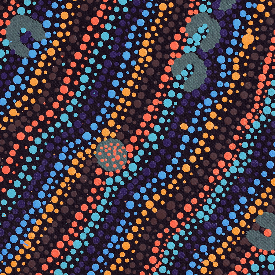 Aboriginal Artwork by Florence Nungarrayi Tex, Lappi Lappi Jukurrpa, 46x46cm