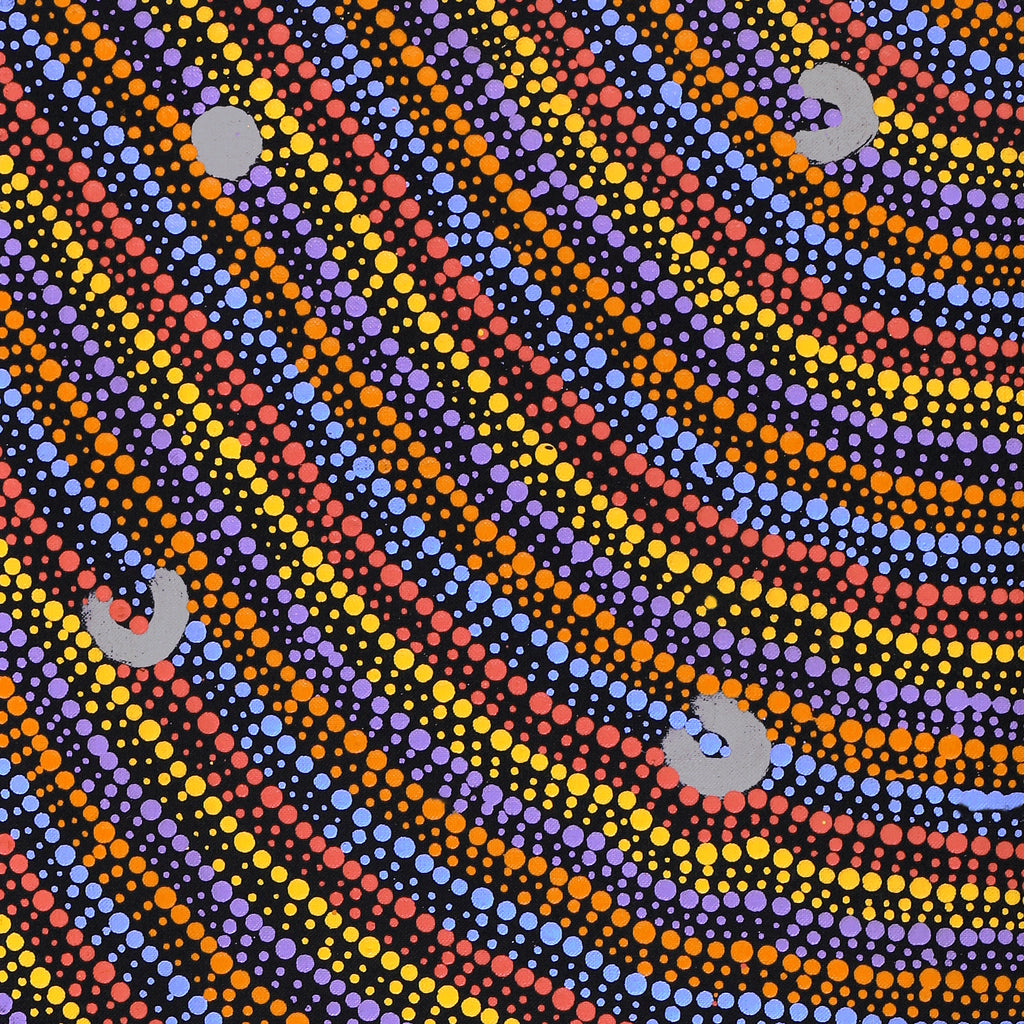 Aboriginal Artwork by Florence Nungarrayi Tex, Lappi Lappi Jukurrpa, 91x30cm