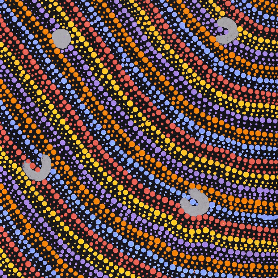 Aboriginal Artwork by Florence Nungarrayi Tex, Lappi Lappi Jukurrpa, 91x30cm