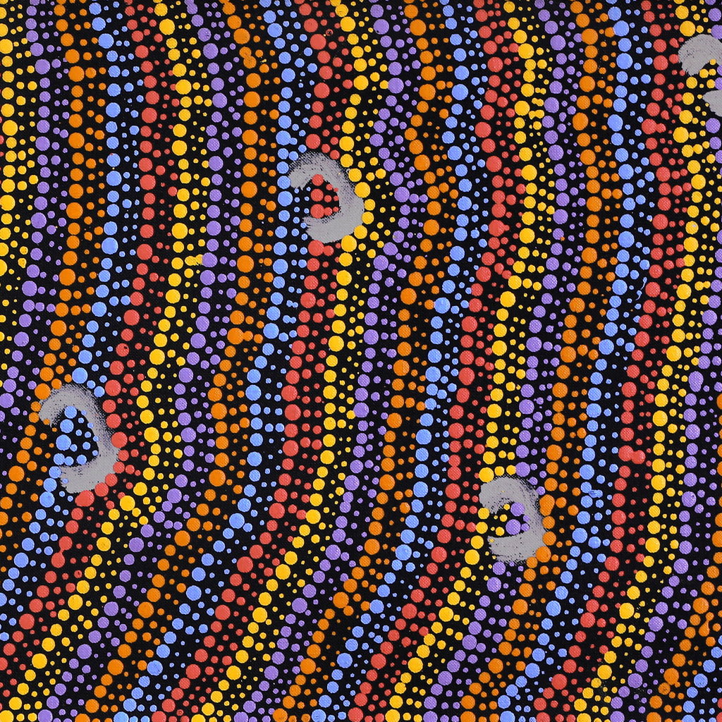 Aboriginal Artwork by Florence Nungarrayi Tex, Lappi Lappi Jukurrpa, 91x30cm - ART ARK®