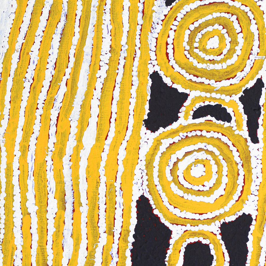 Aboriginal Artwork by Frank Japanangka, Ngapa Jukurrpa (Water Dreaming) - Puyurru, 46x46cm