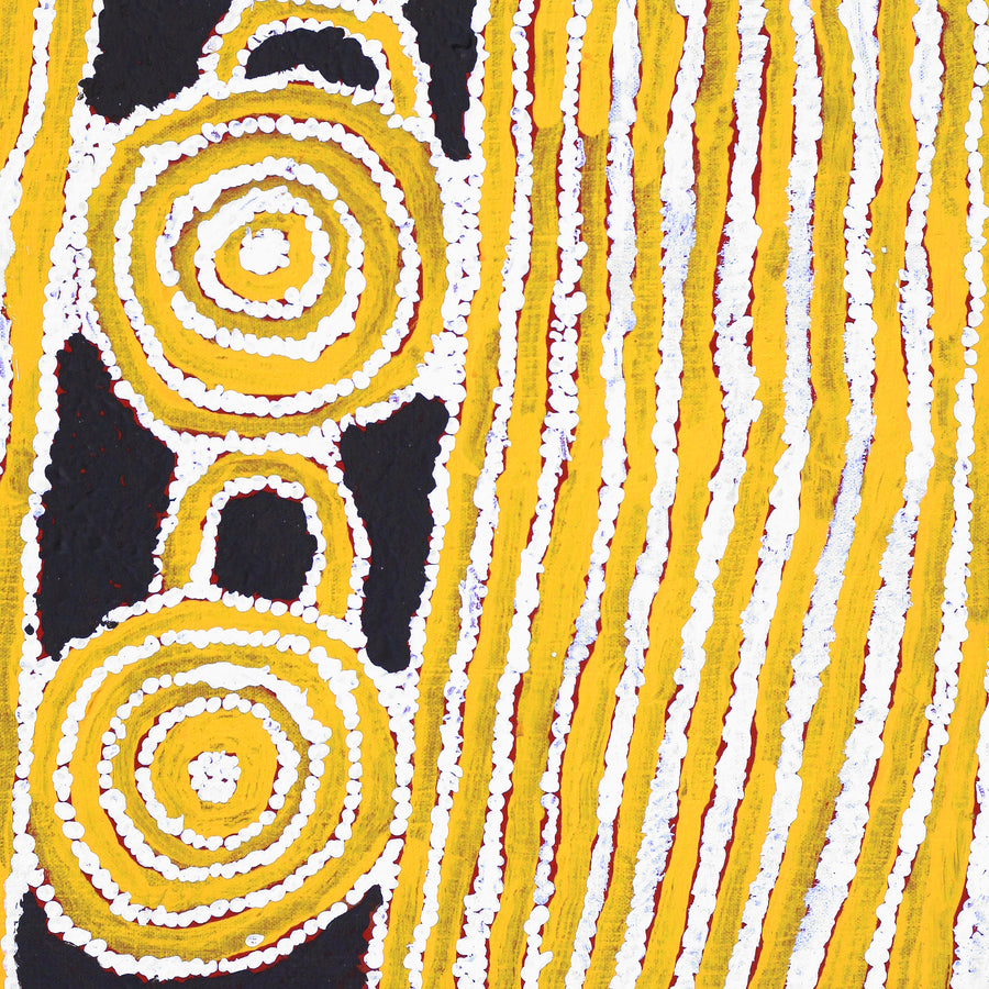 Aboriginal Artwork by Frank Japanangka, Ngapa Jukurrpa (Water Dreaming) - Puyurru, 46x46cm