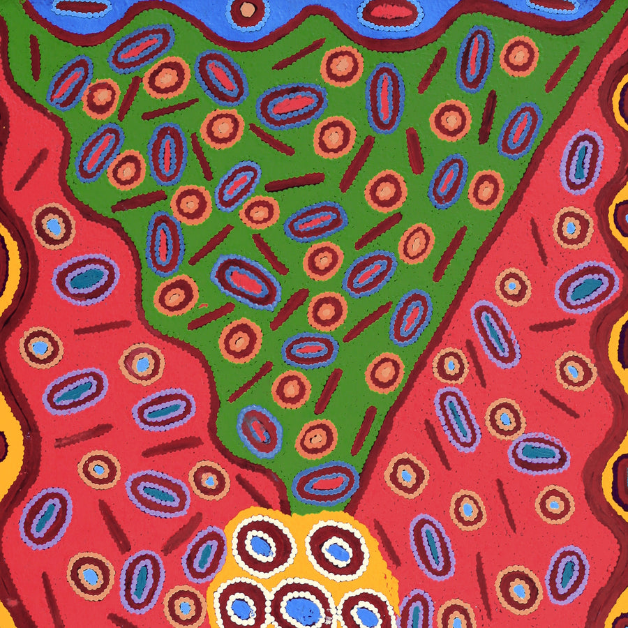 Aboriginal Artwork by Freda Napaljarri Jurrah, Witi Jukurrpa (Ceremonial Pole Dreaming) - Jirla, 122x61cm