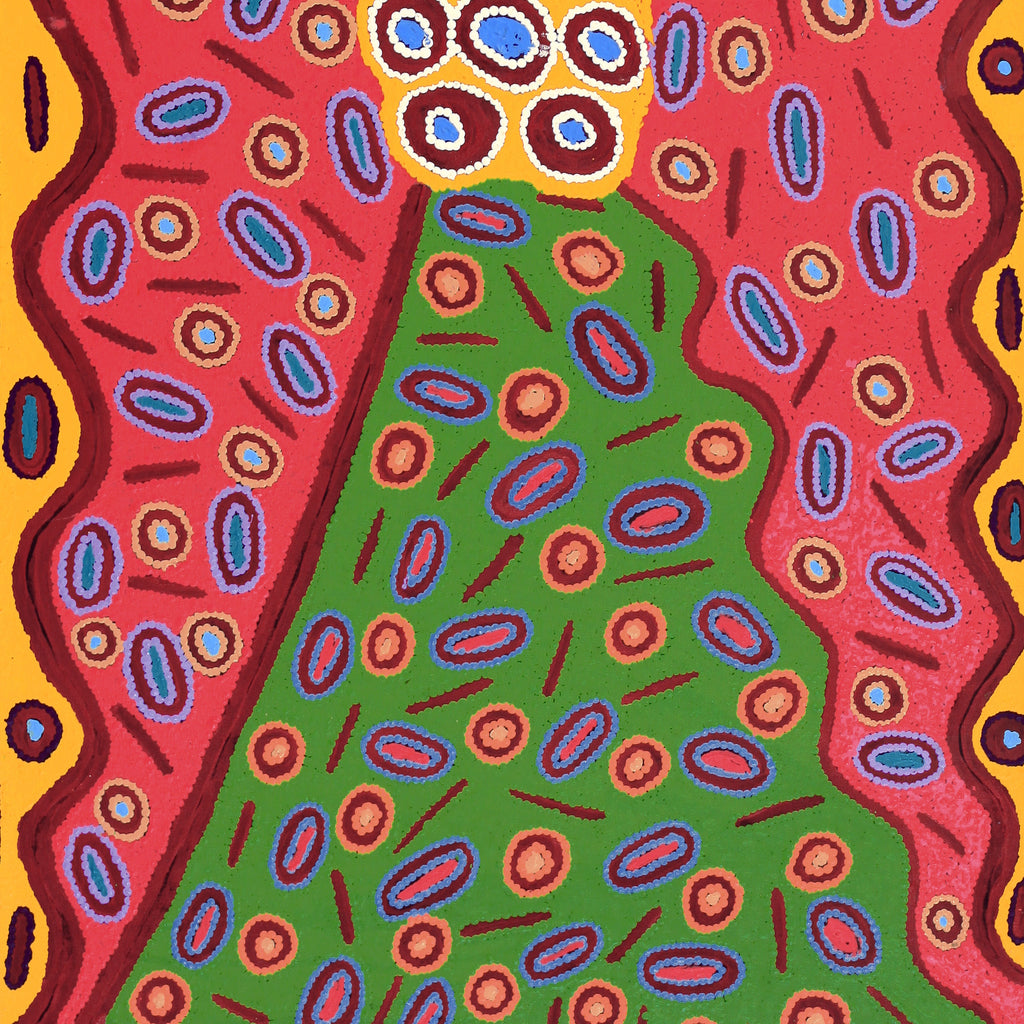 Aboriginal Artwork by Freda Napaljarri Jurrah, Witi Jukurrpa (Ceremonial Pole Dreaming) - Jirla, 122x61cm